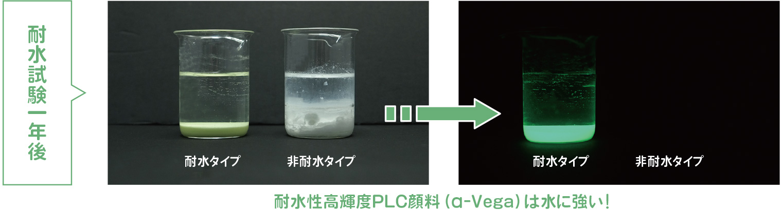 耐水試験一年後の様子