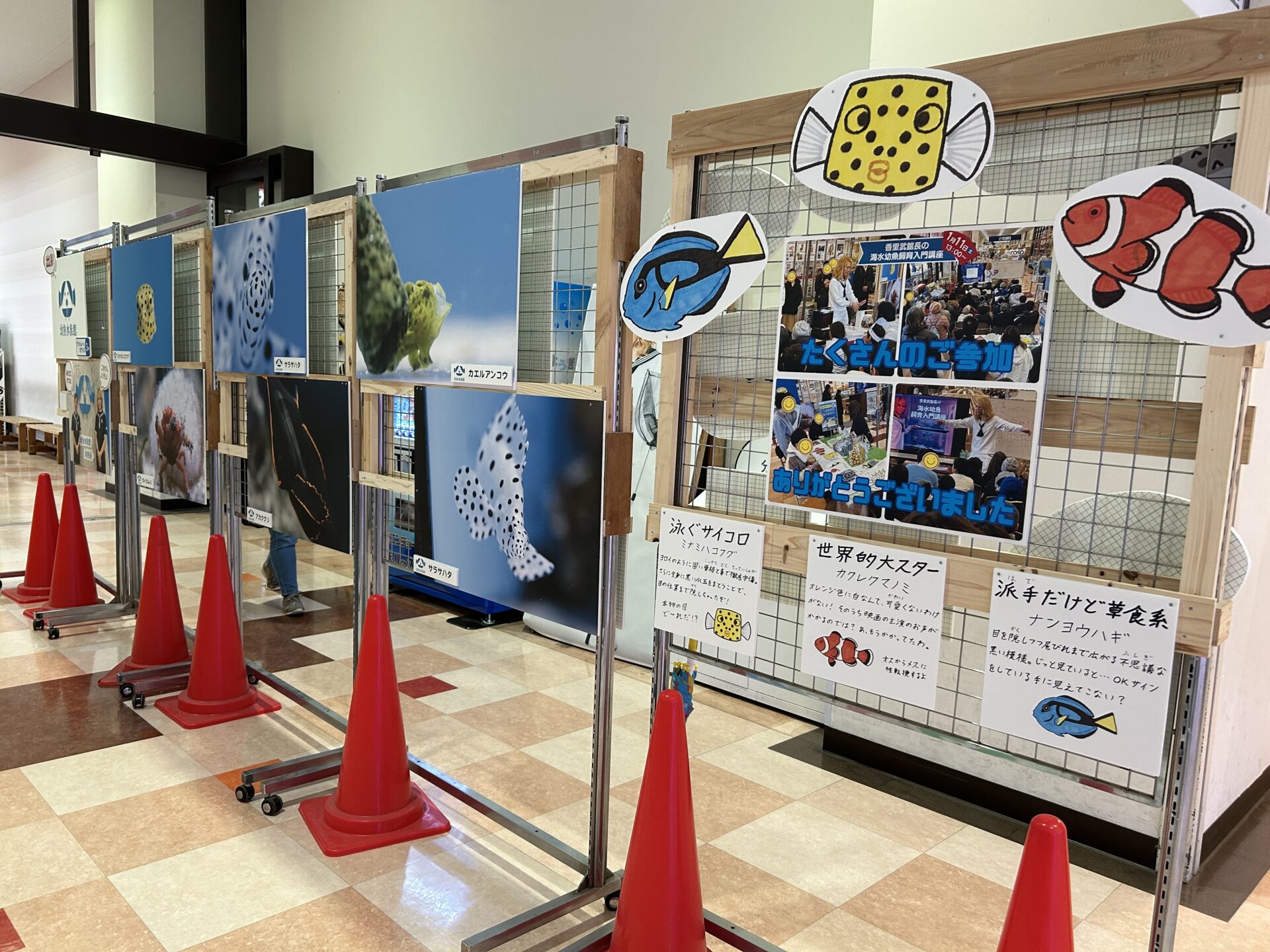 幼魚水族館パネル展