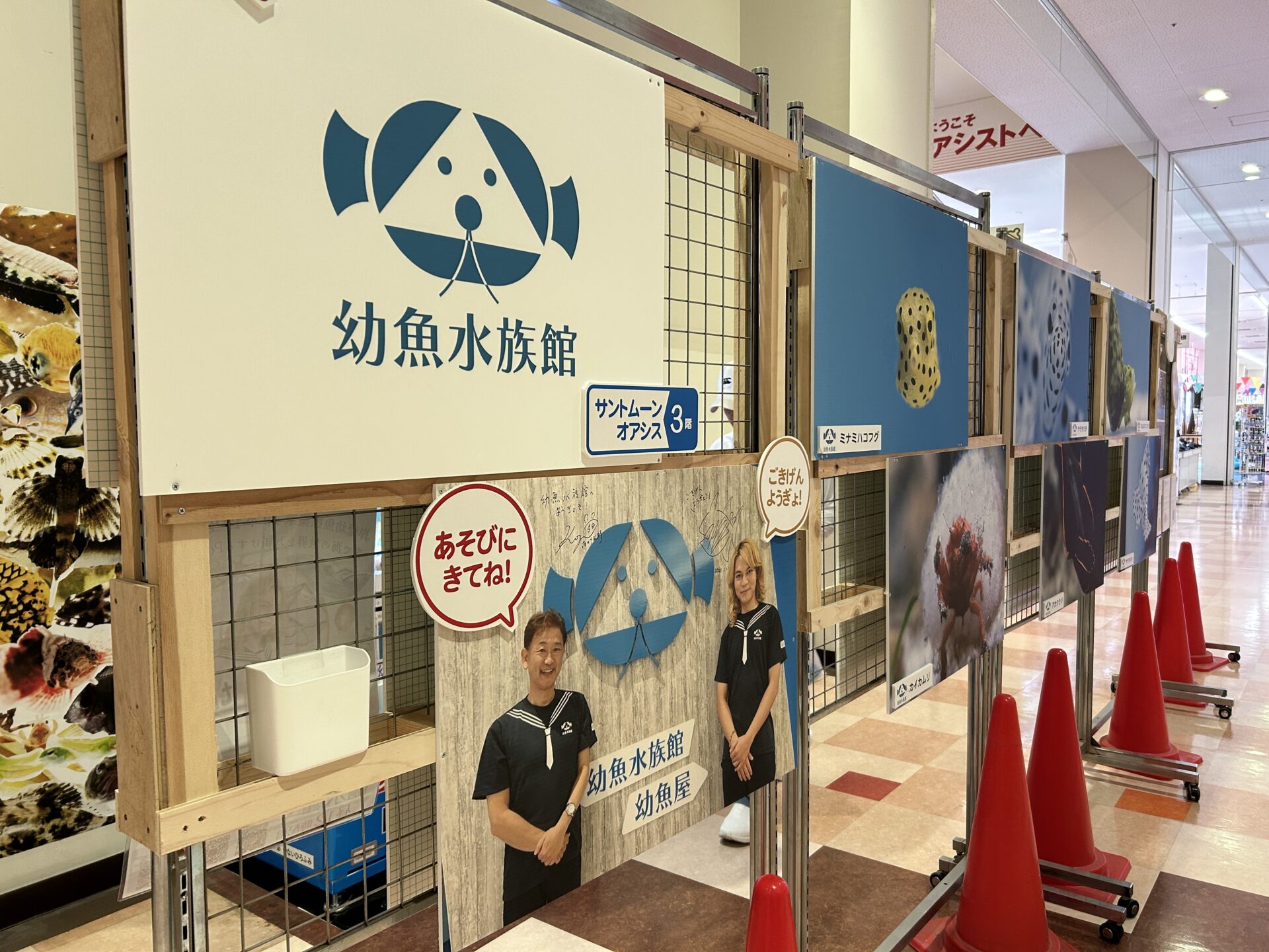 幼魚水族館パネル展